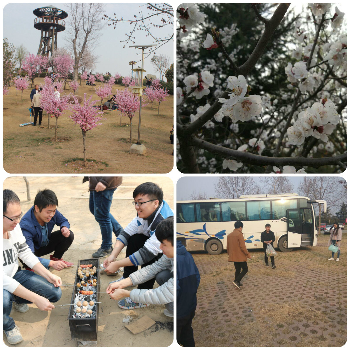 圖片5.jpg